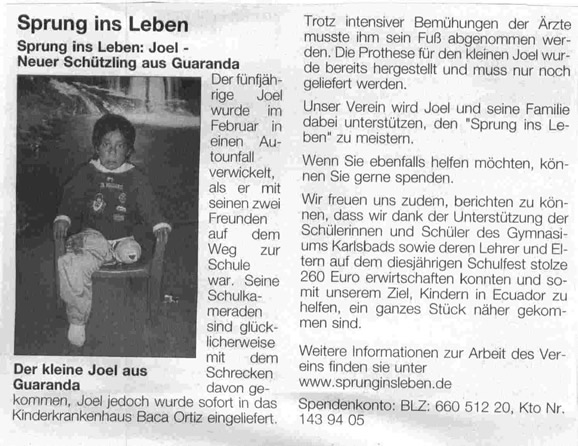 Amtsblatt201108Joel kl